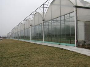水肥一体化价格_最超值的广西温室大棚推荐广西温室大棚因图片