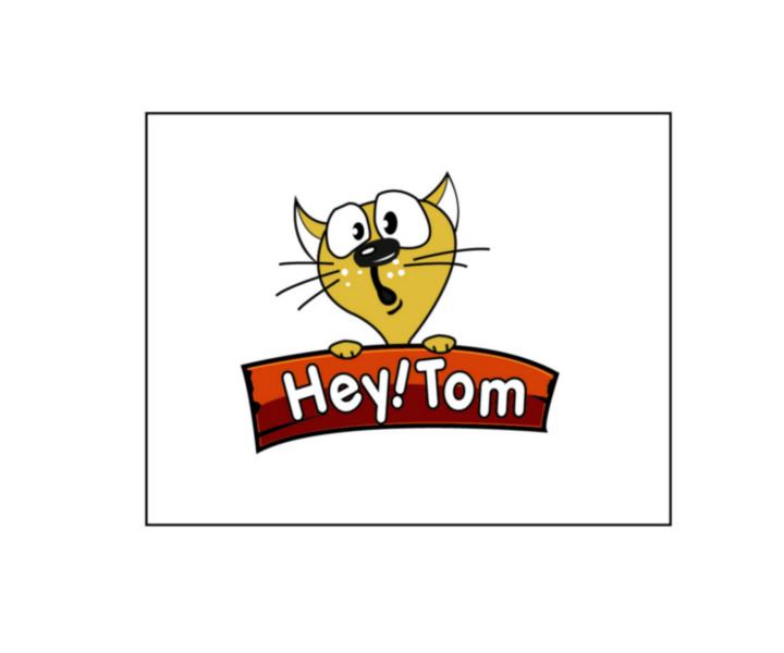 嘿汤姆的成功可与你共享批发