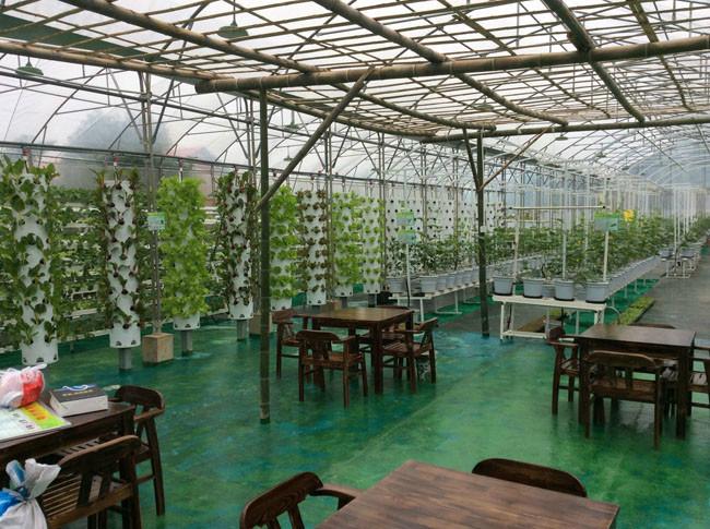 兰天兴农供应用于无土栽培的阳台种菜空中菜园无土栽培蔬菜设备